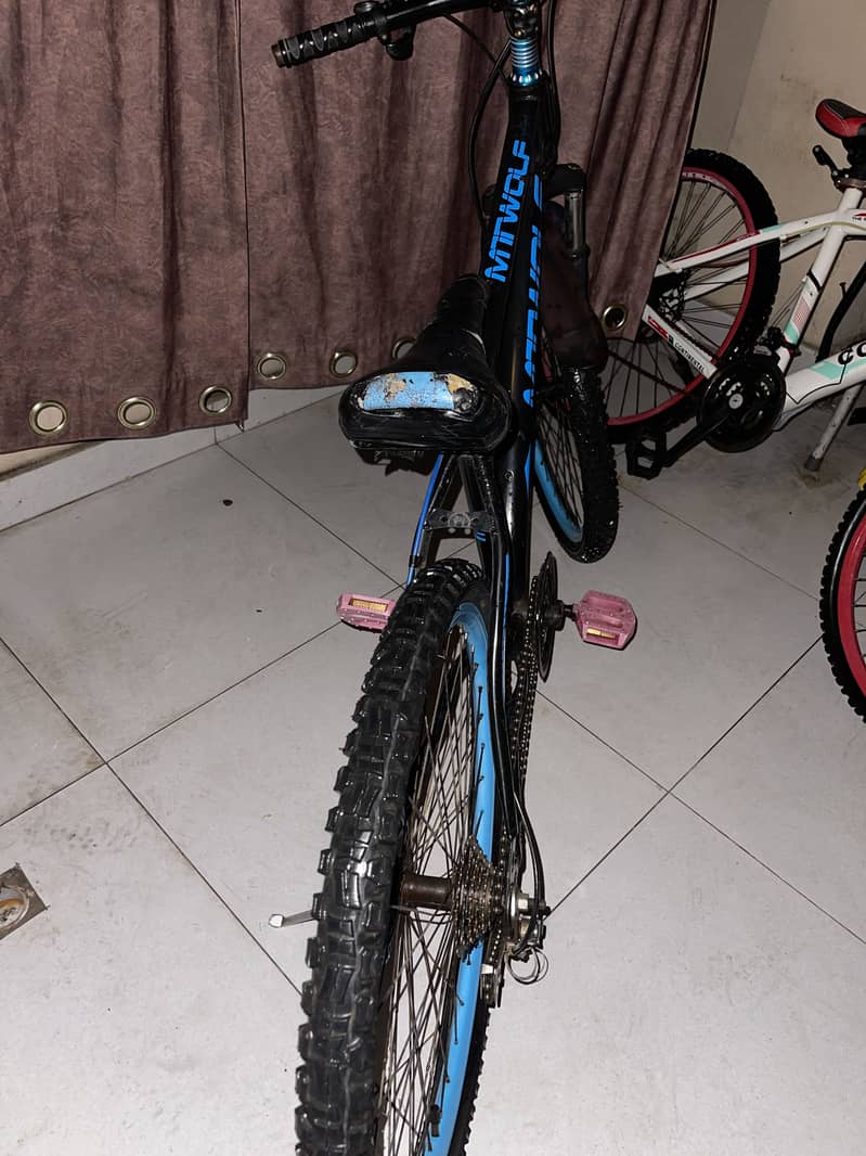 Mountain cycle 3