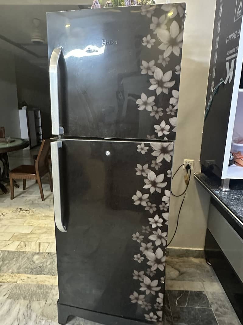 Fridge 1
