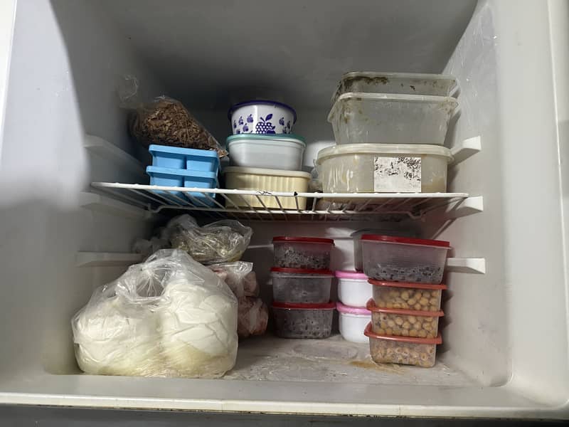 Fridge 2