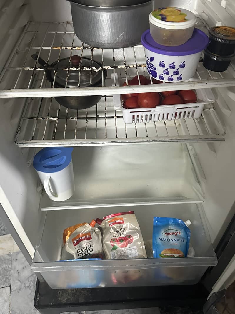 Fridge 13