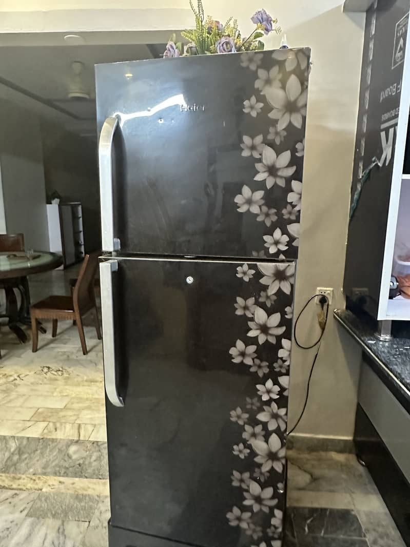 Fridge 17