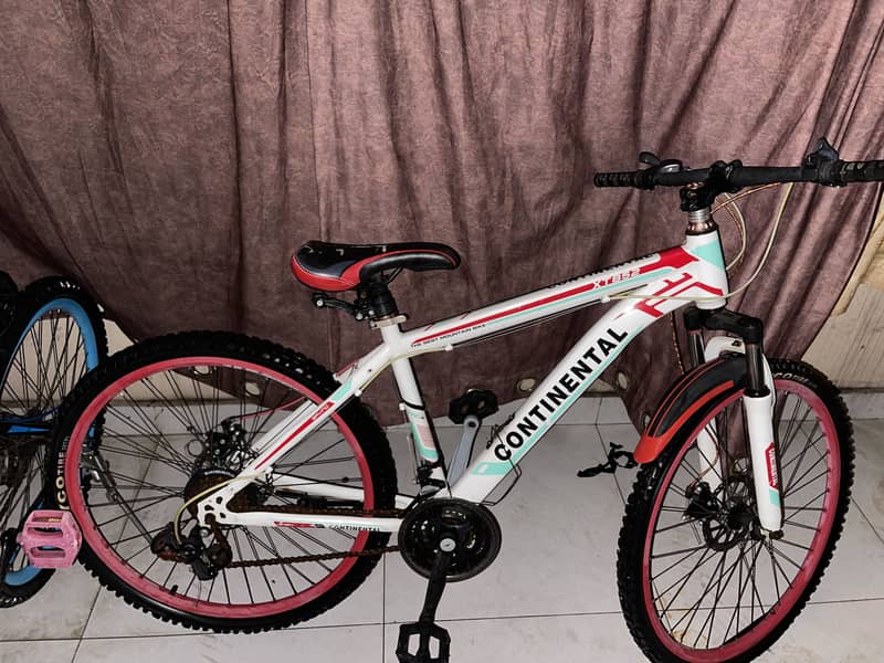 Mountain cycle 1
