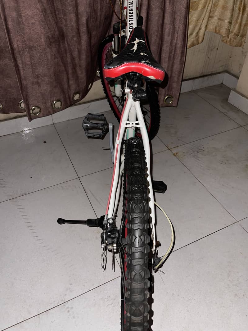Mountain cycle 2