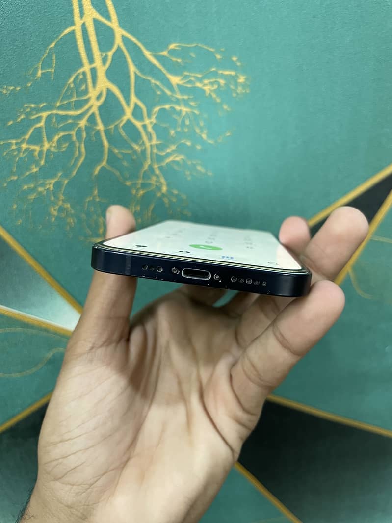 Apple iPhone 12 1