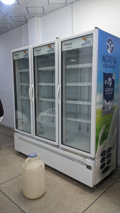 triple door carawell freezer
