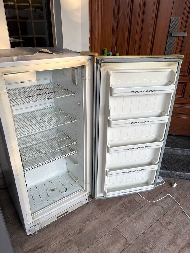 Freezer 1