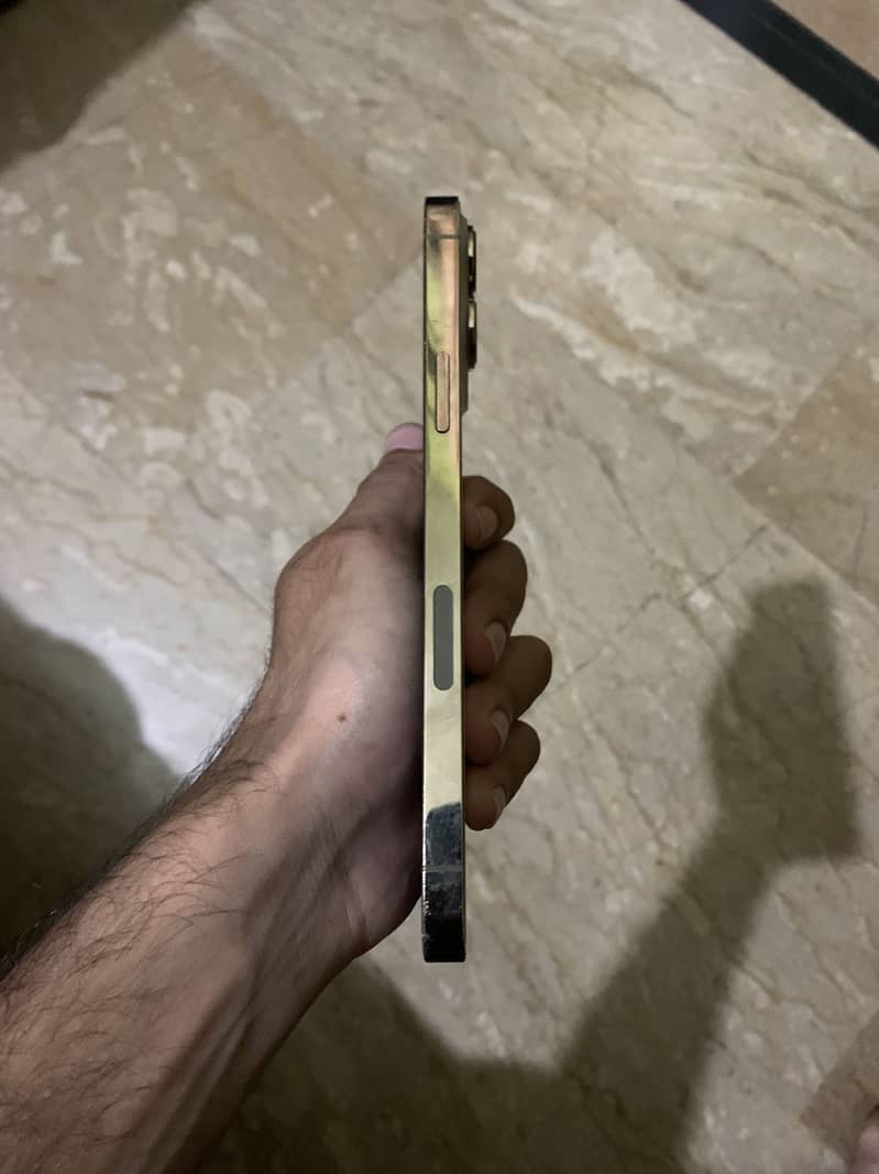 Iphone 13 Pro max 1