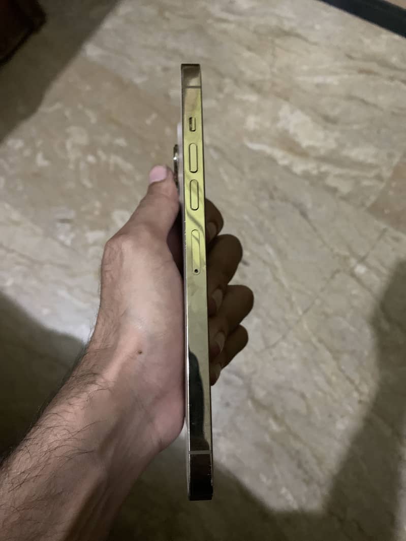 Iphone 13 Pro max 2