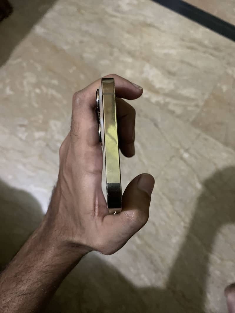 Iphone 13 Pro max 3