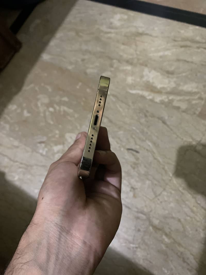 Iphone 13 Pro max 4