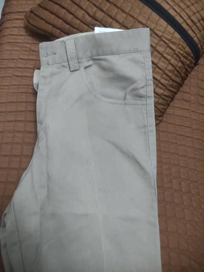 dress pant
