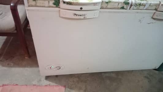 freezers dowlans