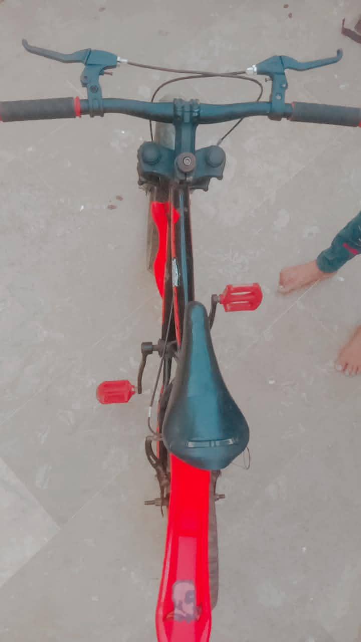 read cycle BMX cycle 0
