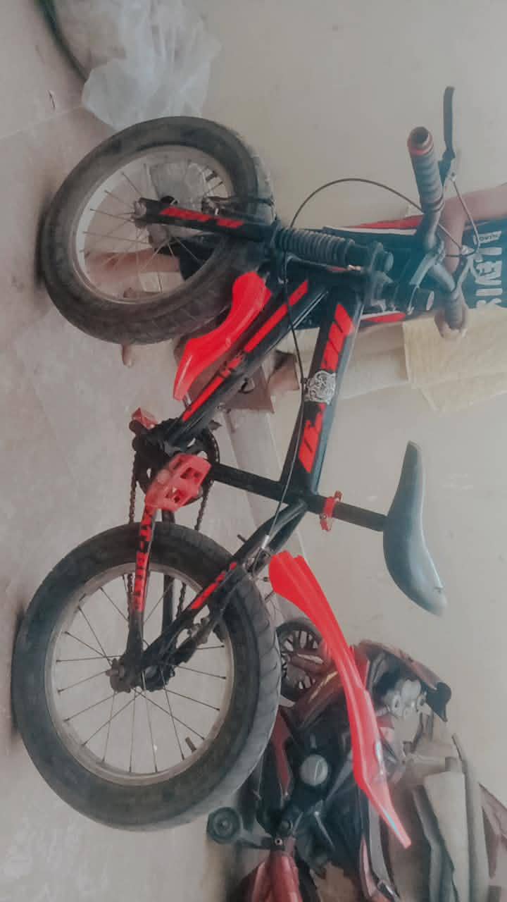read cycle BMX cycle 6