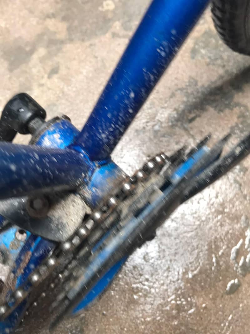cycle 4