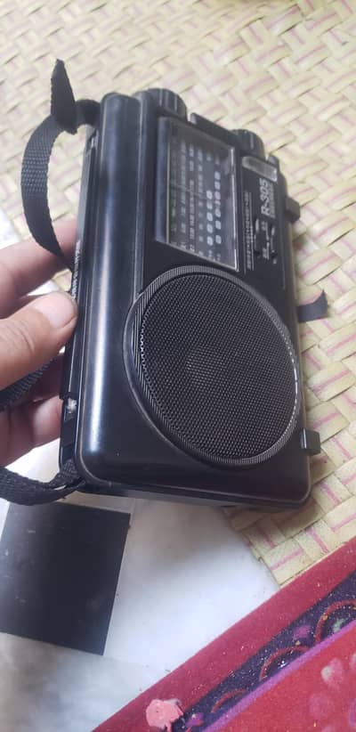 Radip R 305