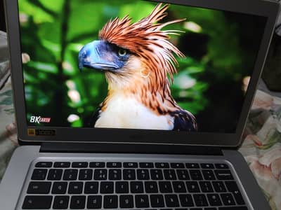 Acer Chromebook CB3-431-C3CQ