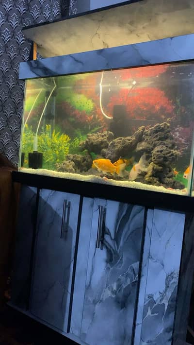 Complete Aquarium Setup for Sale