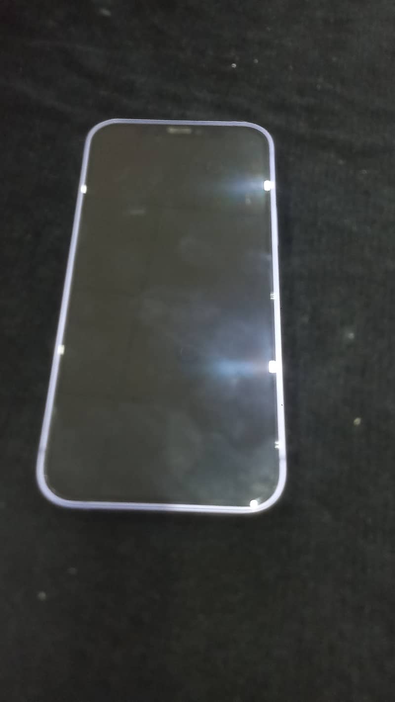Apple iPhone 12 1