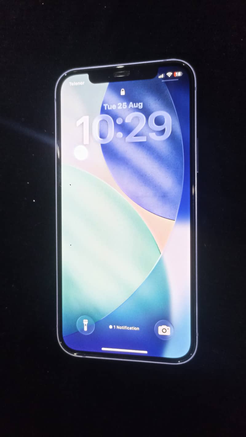 Apple iPhone 12 2