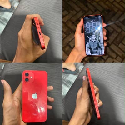 Apple iPhone 12