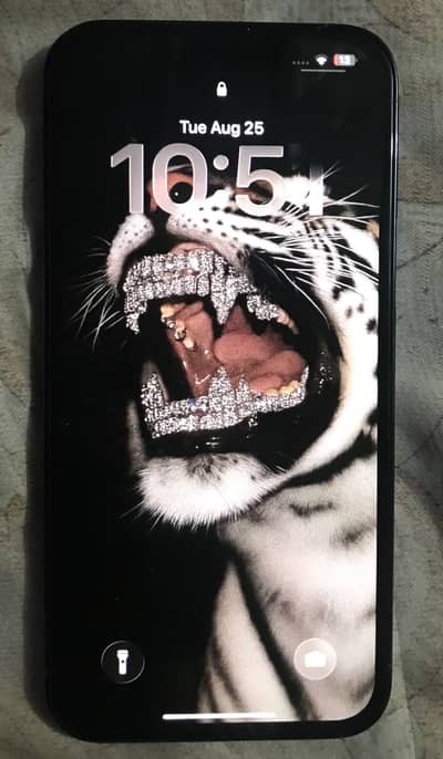Apple iPhone 13 Pro Max 1 tb mdm bypass