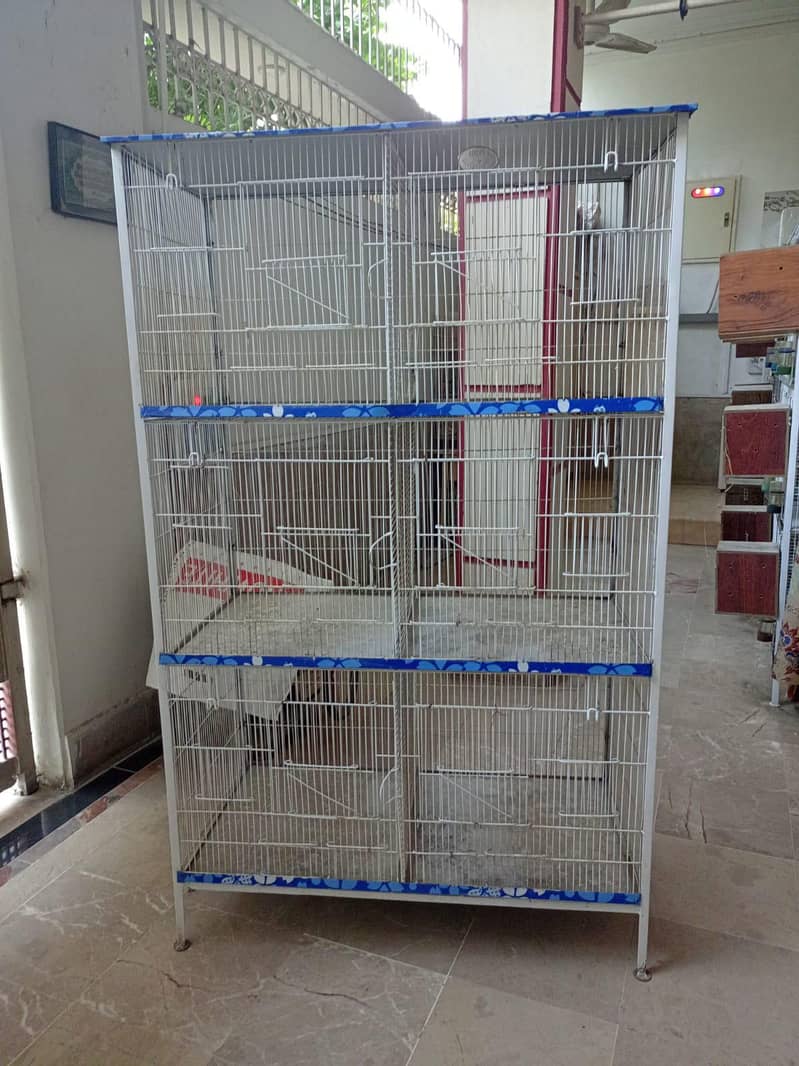 Bird Cage 1
