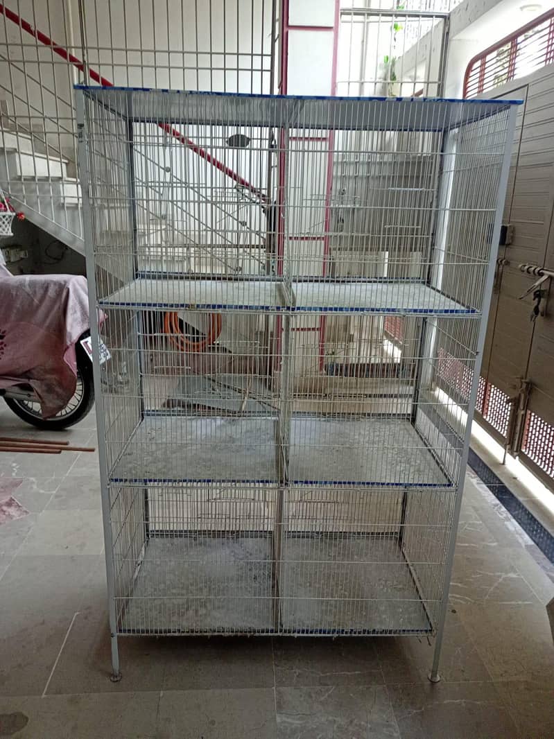 Bird Cage 2