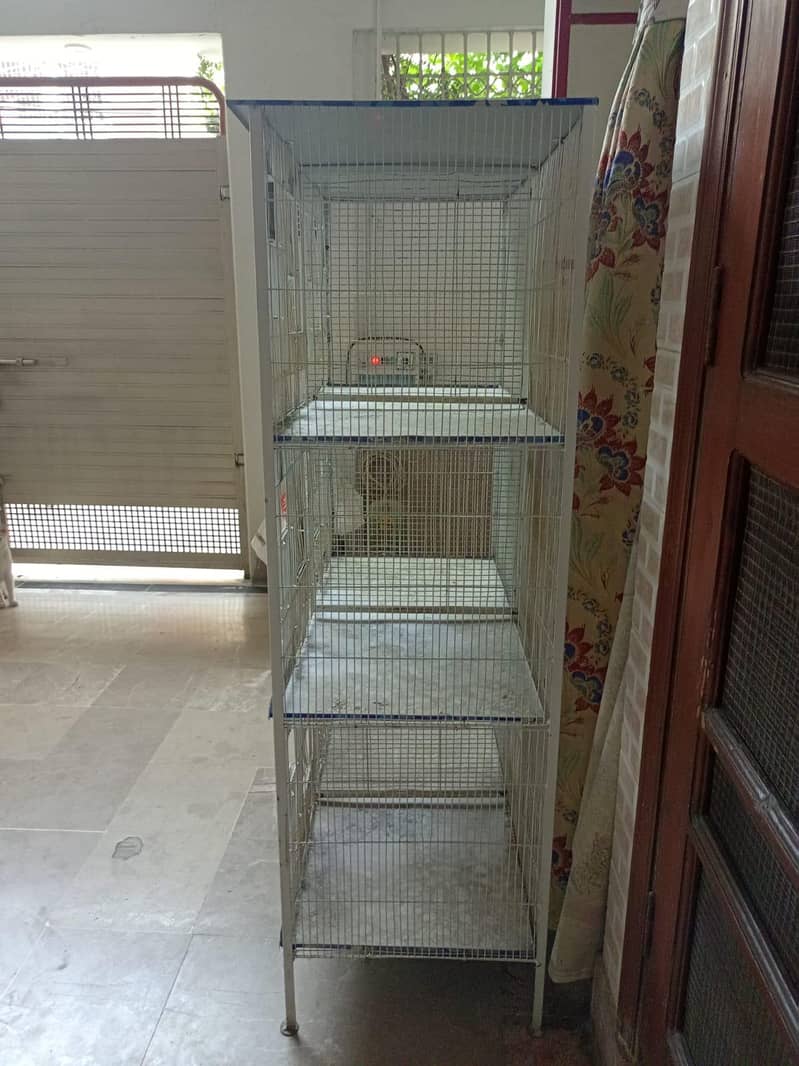 Bird Cage 3