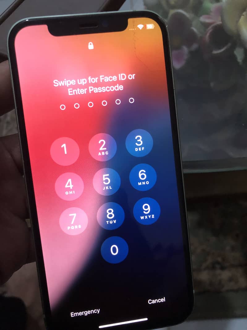 Apple iPhone 12 2