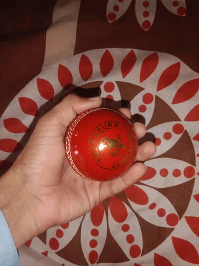 25 Leather Cricket Balls Lot - Kookaburra  Regulation - Club Use