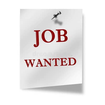 Need job in Sunday only