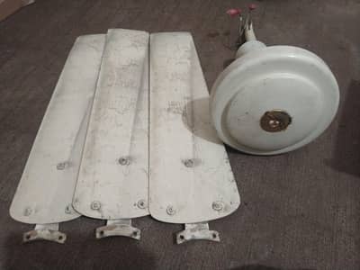 56 Inch Japan Asia Ceiling Fan | Copper Motor | Heavy Duty