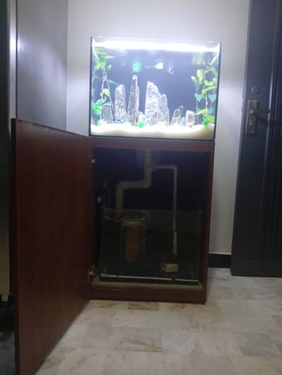 Fish tank