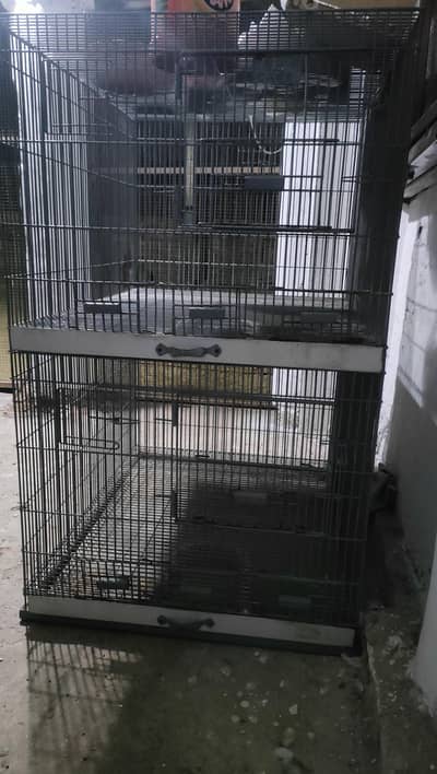 iron cage 