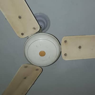 selling fan