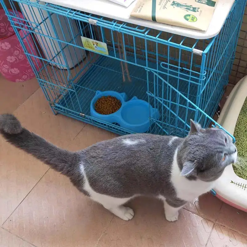 Cat Shaped Double Food Bowl for Pets – Free COD — photo 3