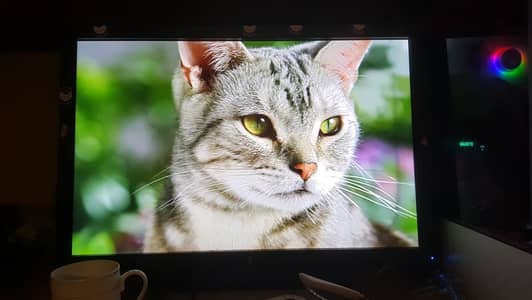 24 inch 1200p monitor HP ZR2440W