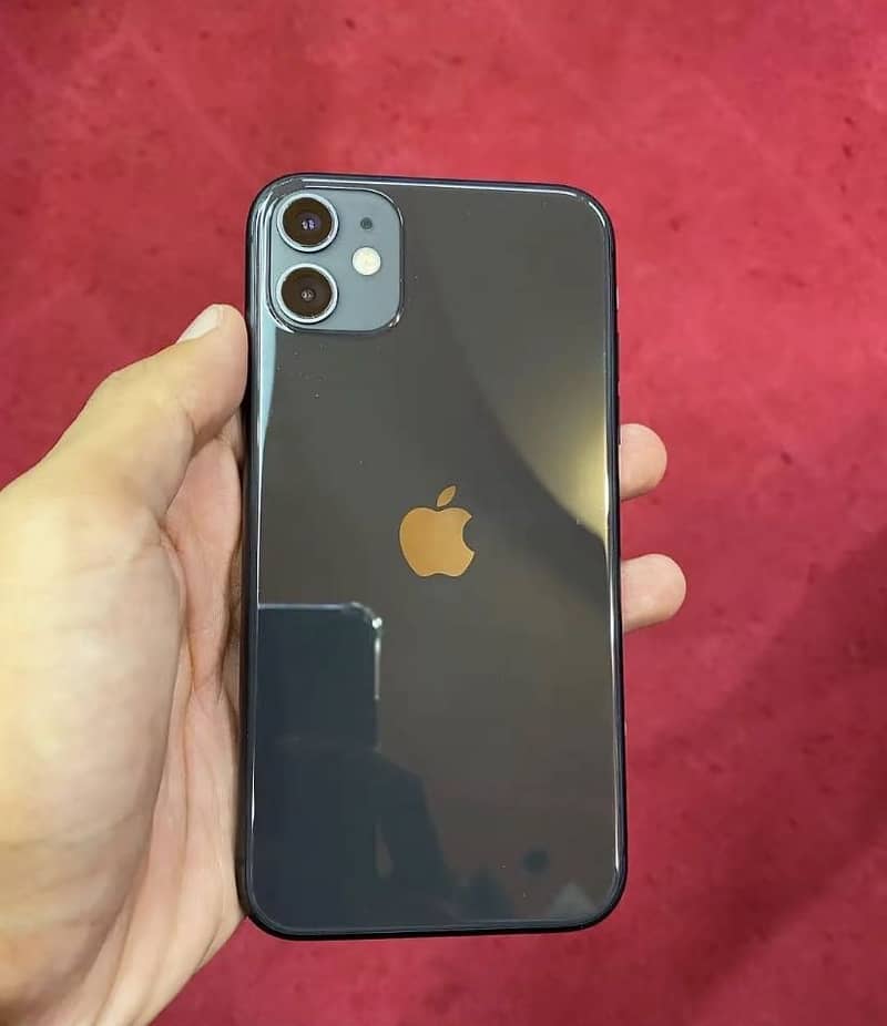 Apple iPhone 11 0