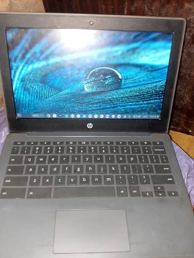 HP Chromebook laptop