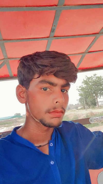 fazan 