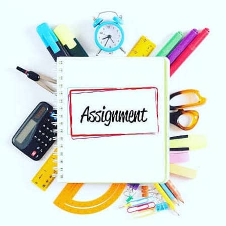 Assignment/ Essay Writer 1