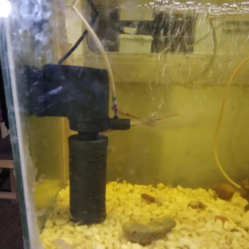 Fish Aquarium — photo 2