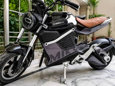 world best electric bike metro miku super