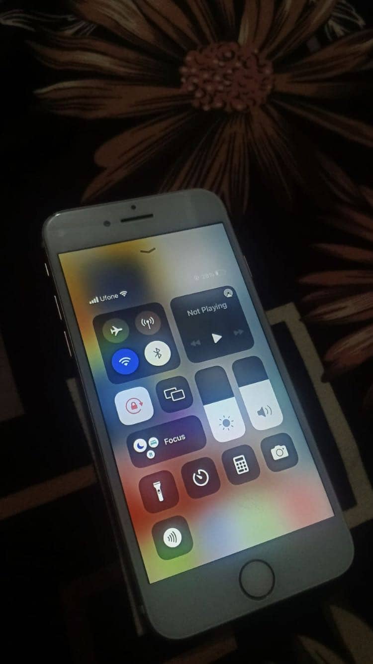 Apple iPhone 7 2