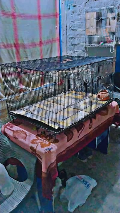 Cage for Sale | Strong & Clean Bird Cage | Good Condition