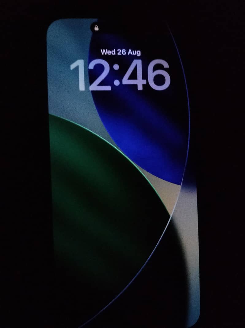 Apple iPhone 15 Pro Max 0