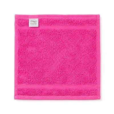 SMALL  CLEANER  TOWEL