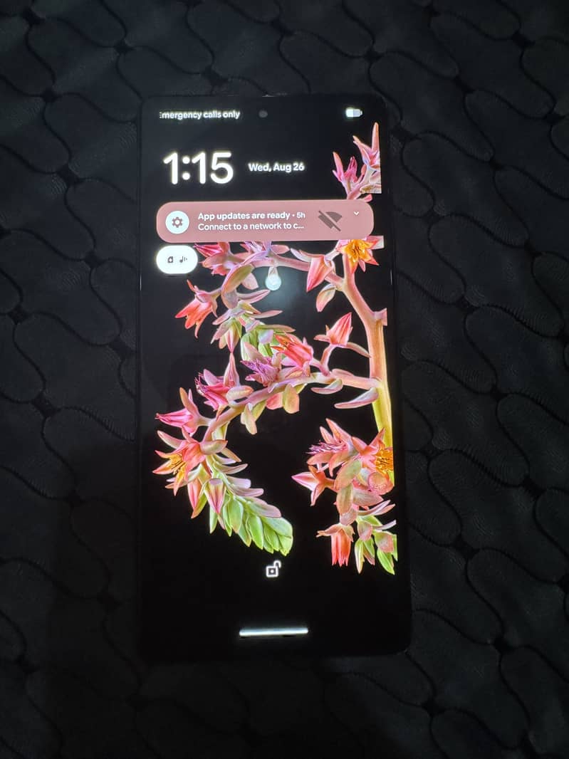 Google Pixel 6 0