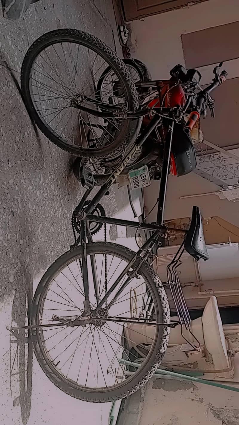 giant cycle 0